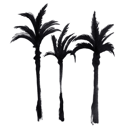 500x500 Palm Tree Gifs Search Find, Make Amp Share Gfycat Gifs