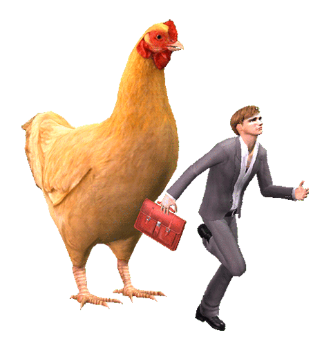 Animated Pictures Of Chickens
