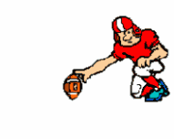191x152 American Football Gif
