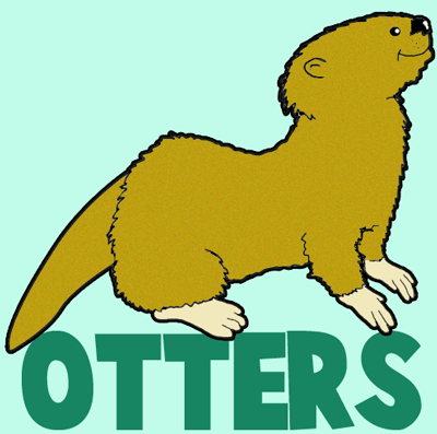 400x397 How To Draw Cartoon Otters With Easy Instructional Steps
