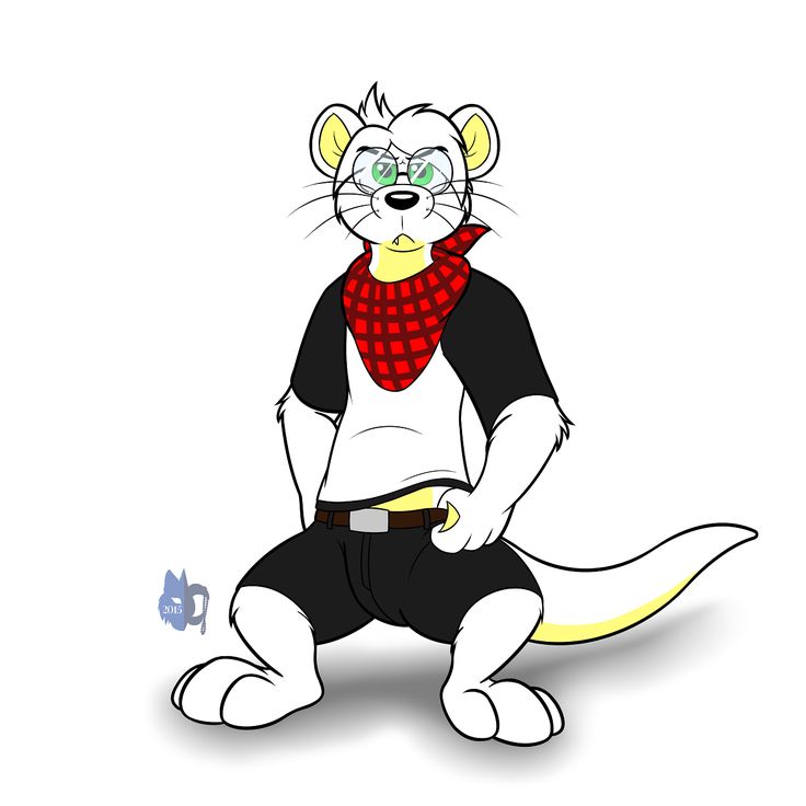 736x736 30 Best Otter Images Tutorials, Book And Character