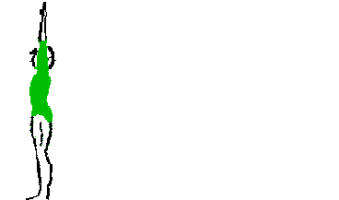 339x200 Animations That Move