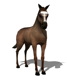 286x338 Beautiful Animated Horse Gifs