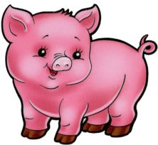 222x204 Baby Pig Clipart