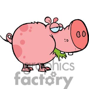 300x300 Animatedpigs