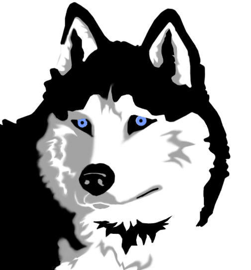 505x544 Cliparts Husky Puppy