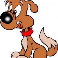 200x200 Admin, Author