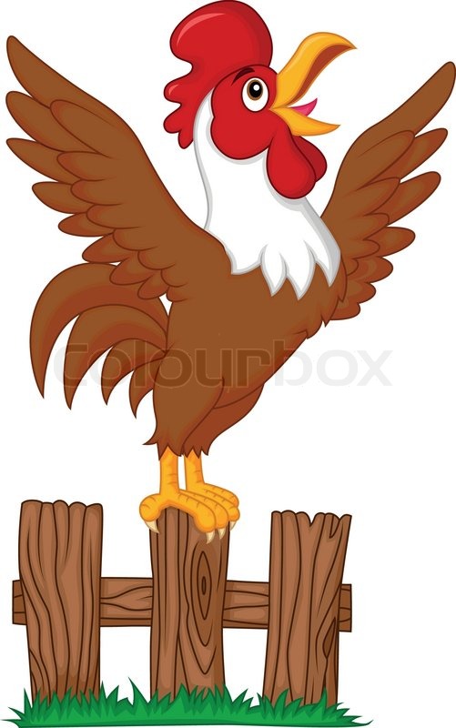 501x800 Vector Illustration Of Cute Rooster Cartoon Crowing On The Fence