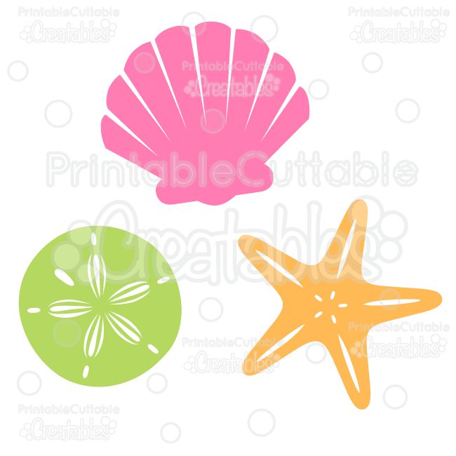 650x650 Flamingo Clipart Sea Shell