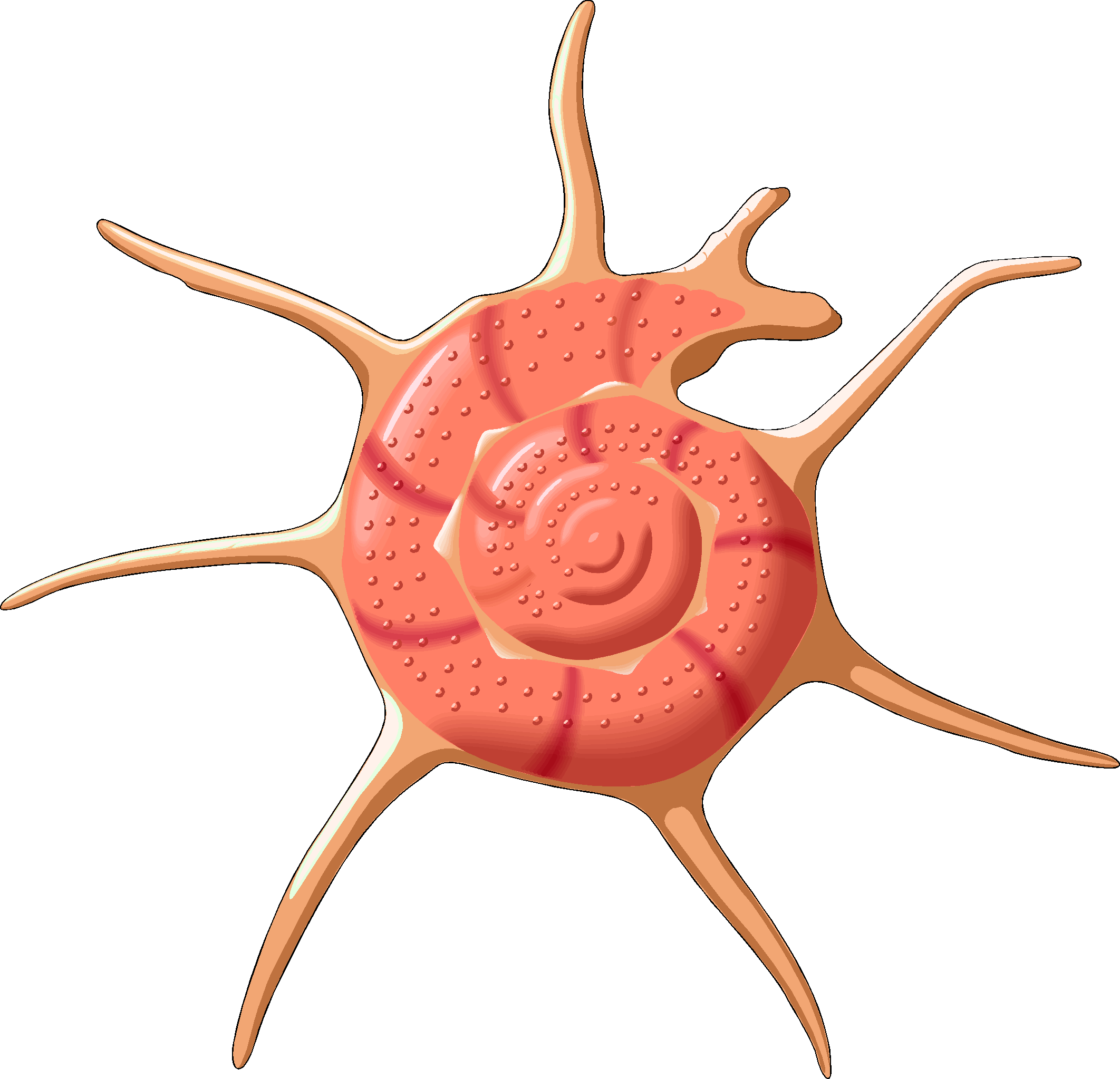 2124x2047 Helpful Links.htm