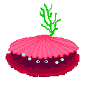 122x124 Sea Shells Animated Gifs Cliparts Animations Images Graphics