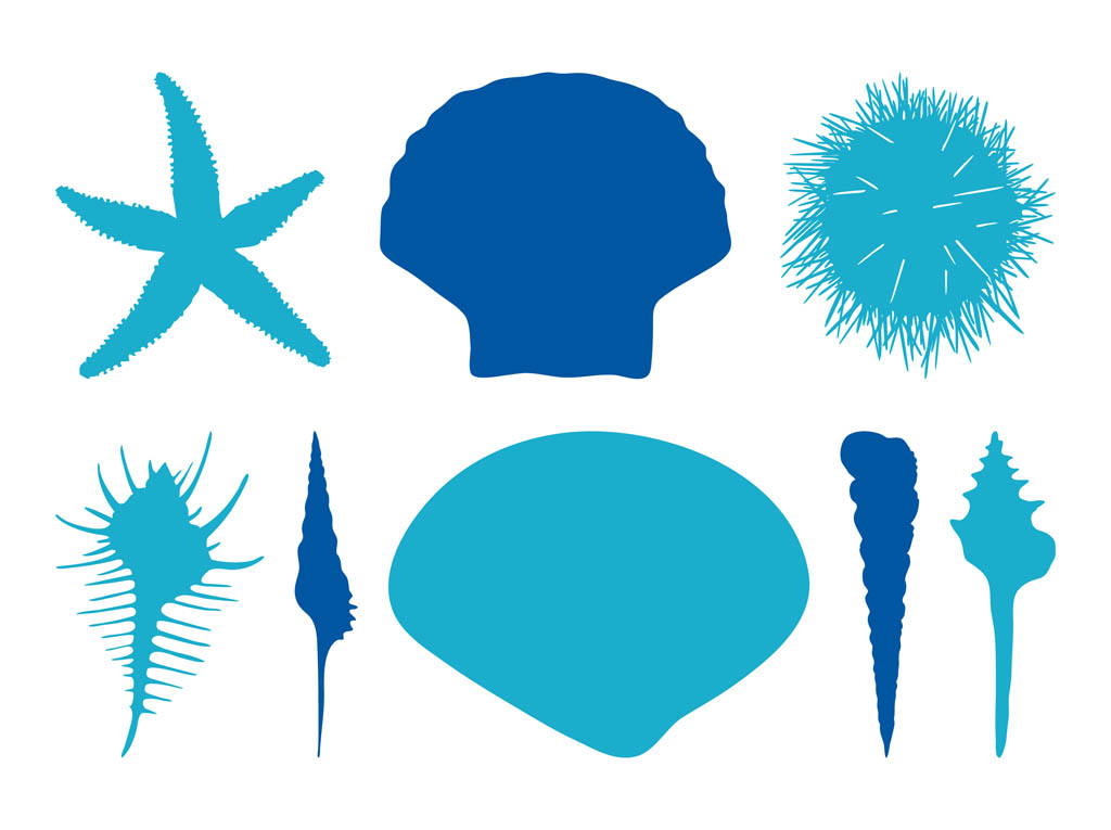 1024x765 Clams Clipart Blue Seashell