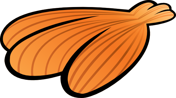 600x334 Seashell Clip Art