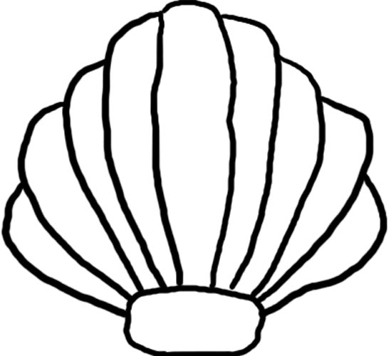 549x500 Seashell Sea Shell Clip Art Image