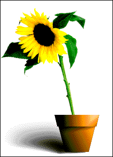 222x309 Animated Falling Sun Flowers For Blogger And Wordpress