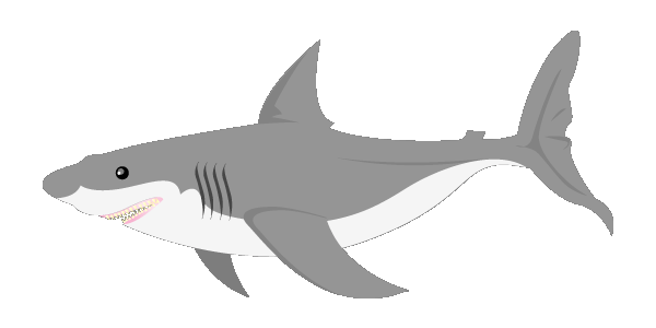 600x300 Shark Clipart Gif Animation