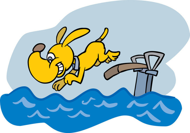 720x505 Animals Swimming Cliparts