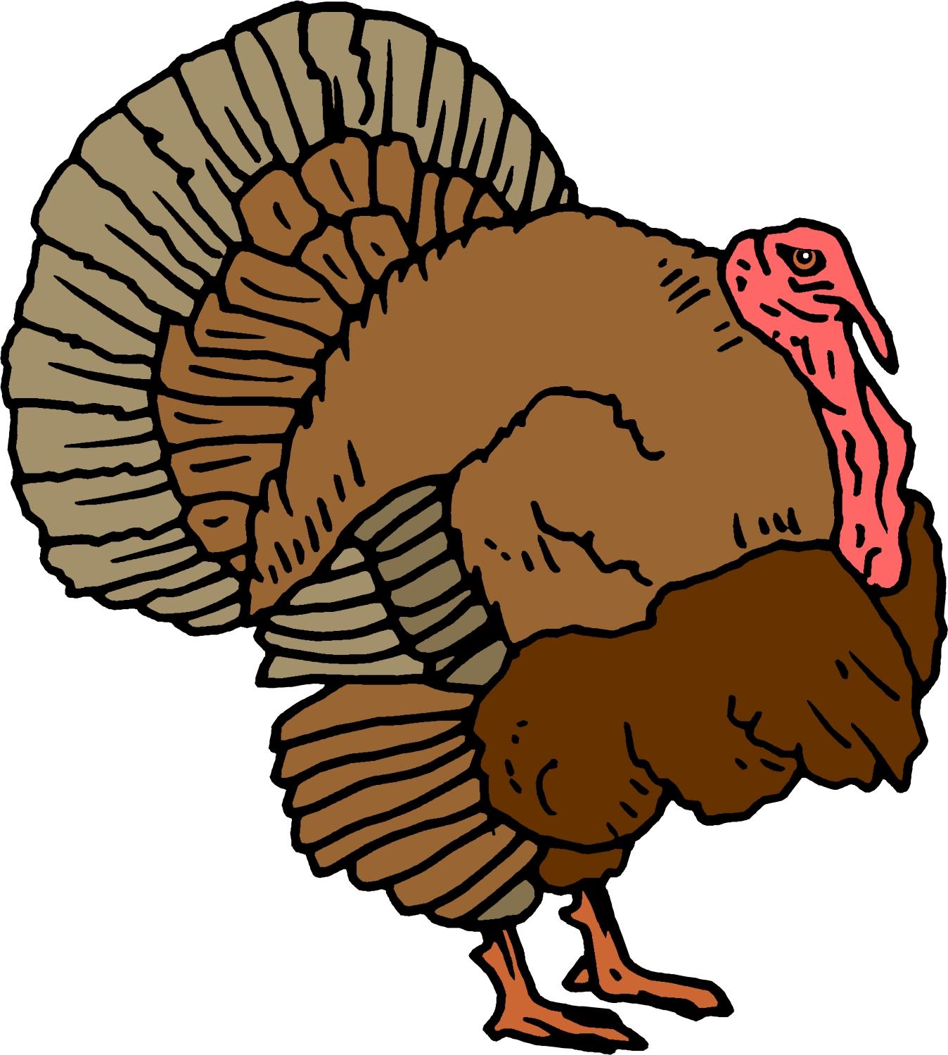1348x1500 Unique Cartoon Turkey Animated Clip File Free