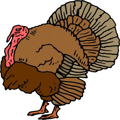 Animated Turkey Pictures | Free download on ClipArtMag