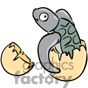 300x300 Sea Turtle Clipart Turtle Egg