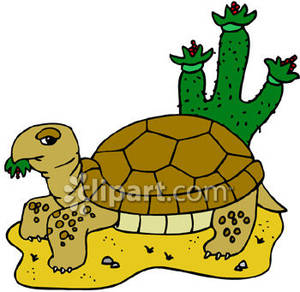 300x292 Tortoise Clipart Desert Tortoise