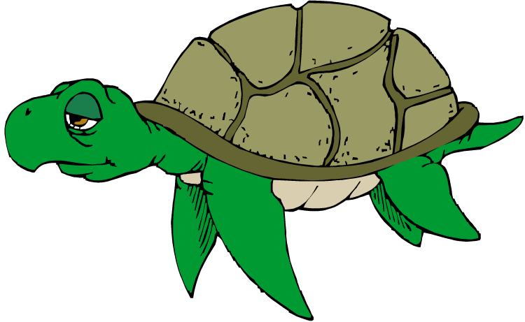 750x461 Turtle Clipart Png Transparent