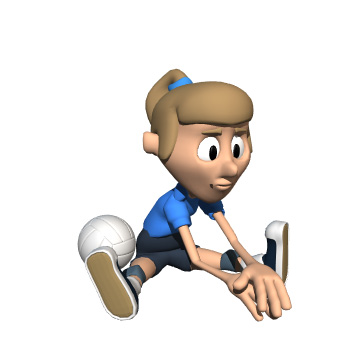 338x338 Volleyball Animations