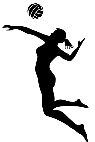 332x495 Wichita Hoops Basketball And Volleyball Leagues Tournaments