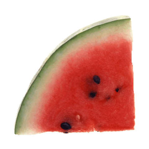 480x480 Watermelon Sticker By Imoji For Ios Amp Android Giphy