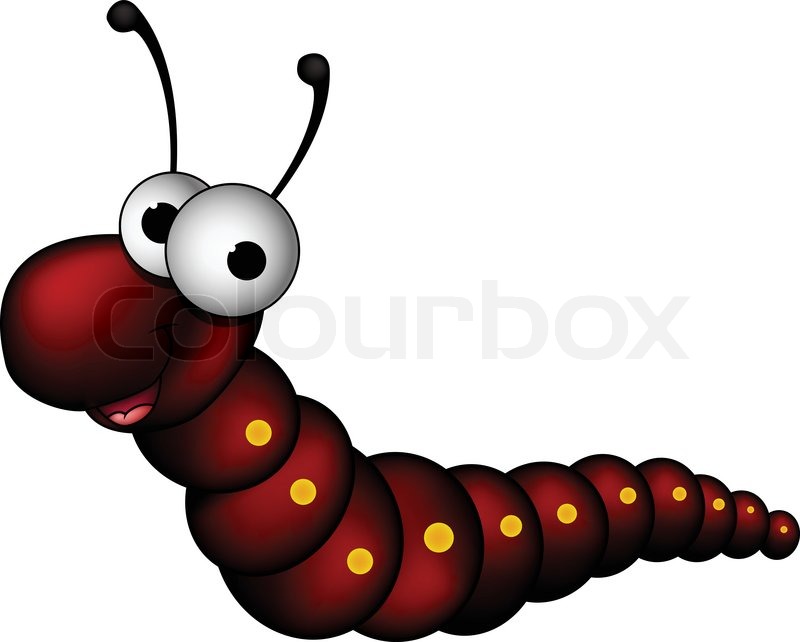 800x642 Worm Clipart Animated