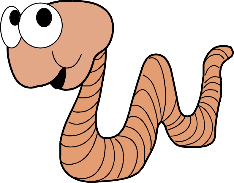 788x617 Animated Worm Clipart Kid