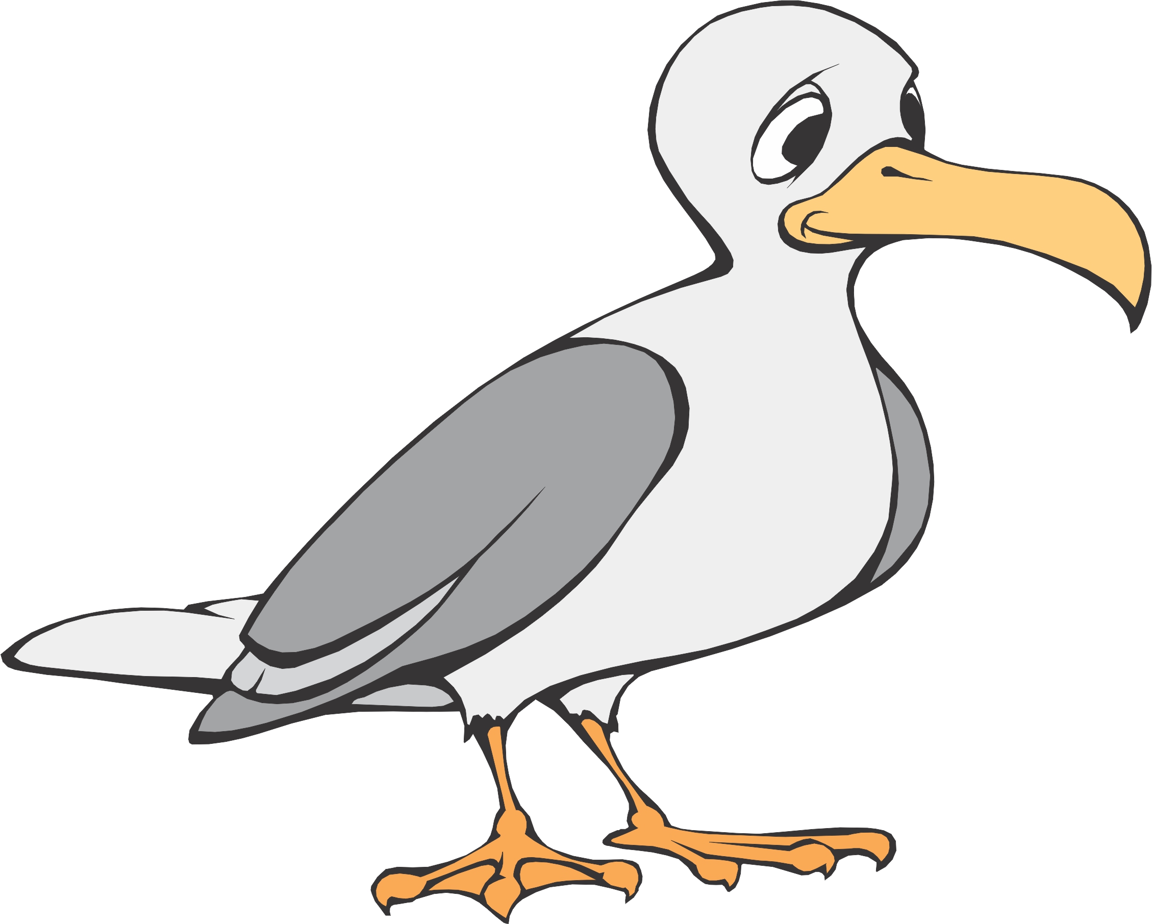 2258x1811 Animated Clipart Of Seagulls