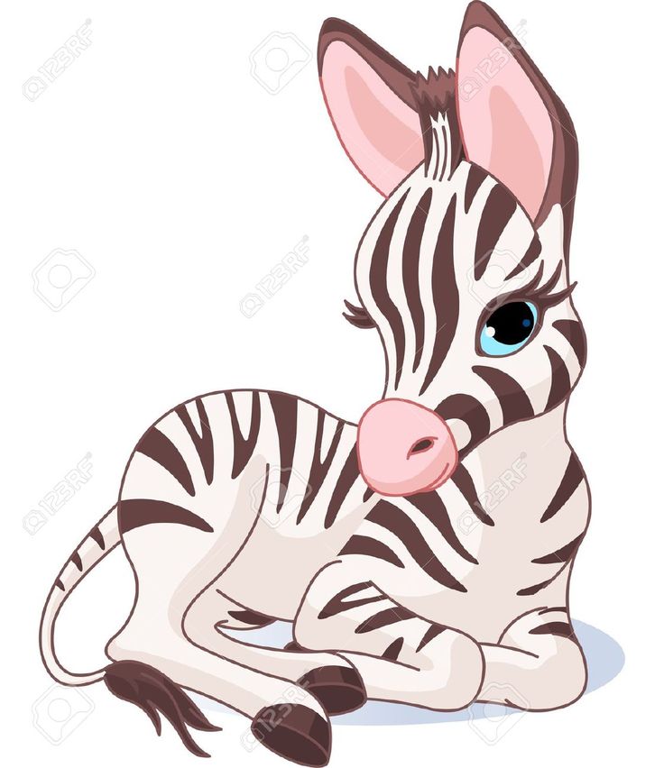 736x852 The Best Zebra Clipart Ideas Cute Animal