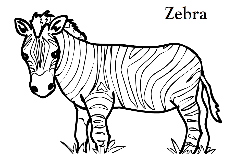 972x604 Zebra Basketball Cliparts Many Interesting Cliparts