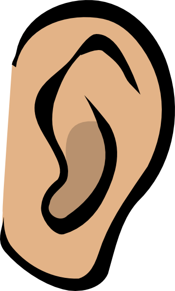 360x599 Ear Body Part Nicu Buc Hi Free Images
