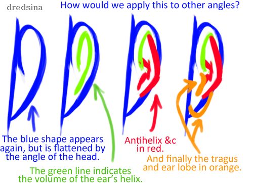 500x362 61 Best Drawing Ears Images Art Lessons, Draw