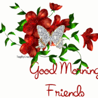 200x200 Animation Images Gif