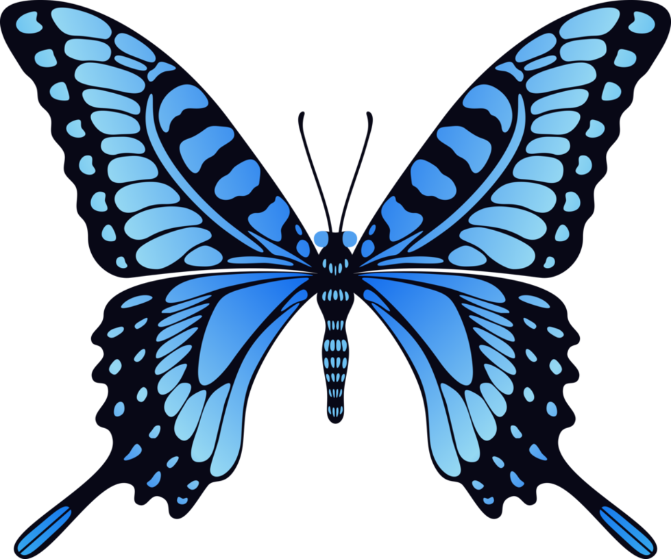 979x816 Butterfly Png Image, Free Picture Download Butterflies