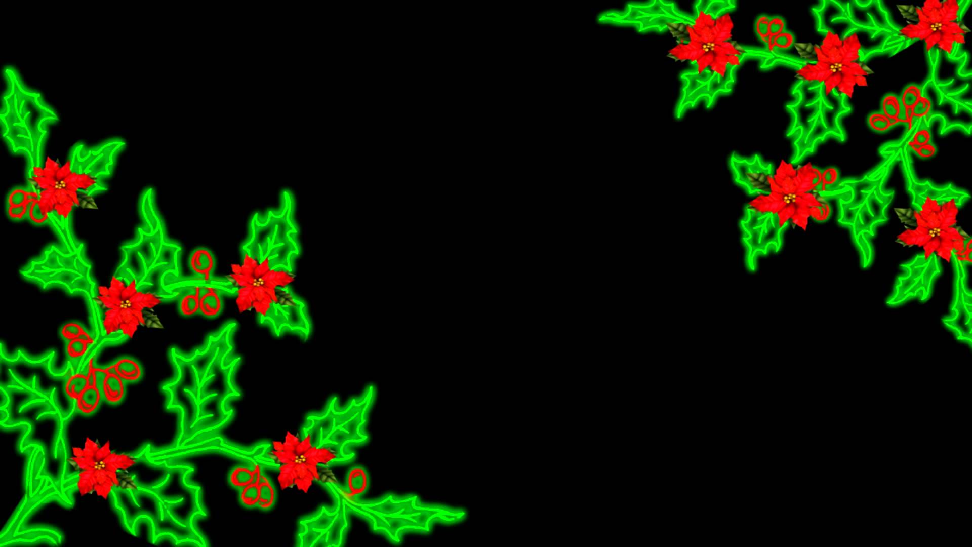 1920x1080 Christmas Flourish Holly And Poinsettia Animation Free Download