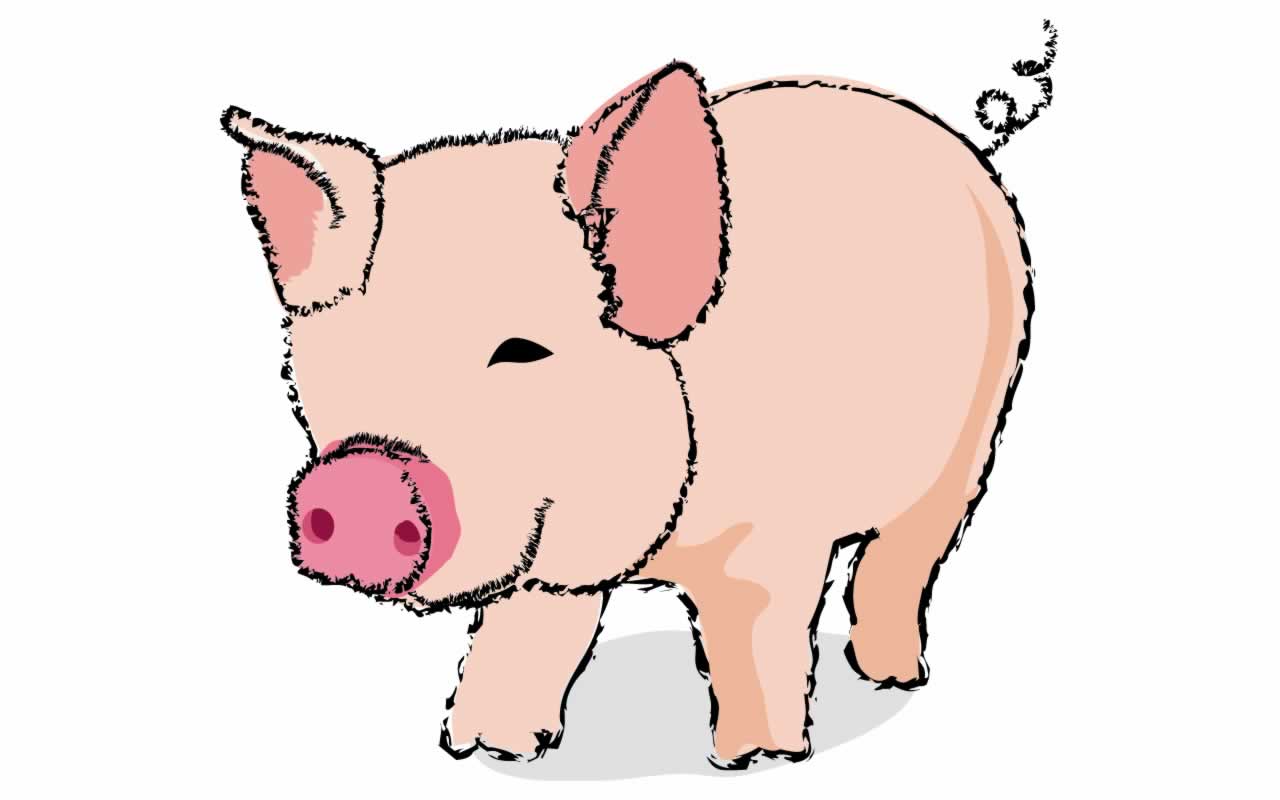 1280x800 Pig Clipart Animated