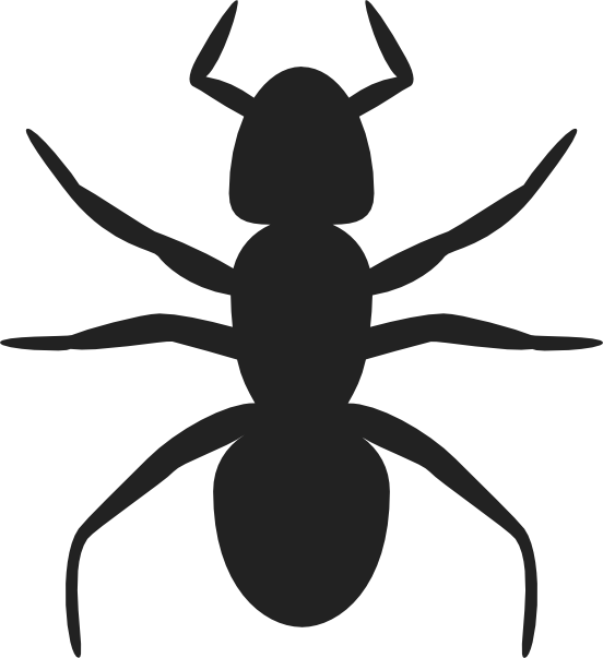 552x603 Ant Clip Art