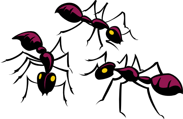 600x390 Three Brown Ants Clip Art