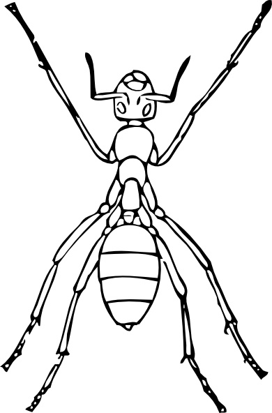 390x592 Ant Clipart Black And White Free Images 2