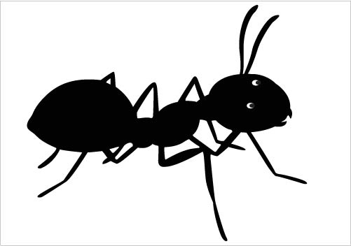 501x352 Cute Ant Clipart Kid