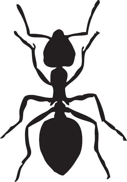 Ant Clipart Black And White | Free download on ClipArtMag