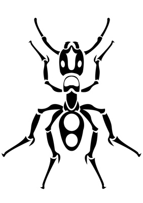 282x400 Drawn Ants Black And White