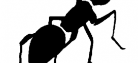 272x125 Ant Black And White Clip Art Ants Biezumd