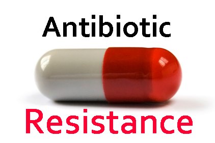 422x281 Bacteria Clipart Antibiotics Resistance