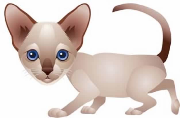 626x409 Cat Clip Art Like Dog Walking In Side View Download Free Animal