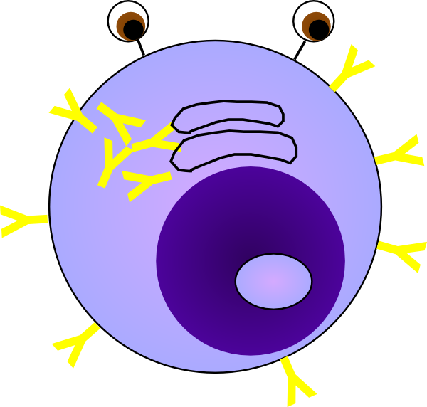 600x572 Plasma Cell 2 With Nucleolus Clip Art